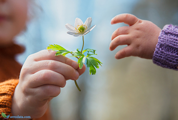 وحدة العطاء by haifa soltan - Ourboox.com