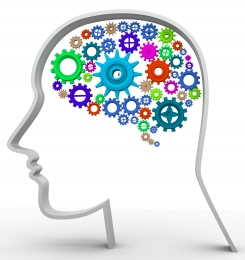 i processi cognitivi by hanna - Ourboox.com