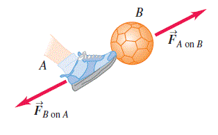 הרגל מפעילה כוח על הכדור