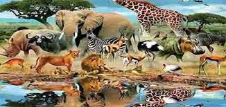 الحمامة والثعلب ومالك الحزين by fatema hammad - Ourboox.com