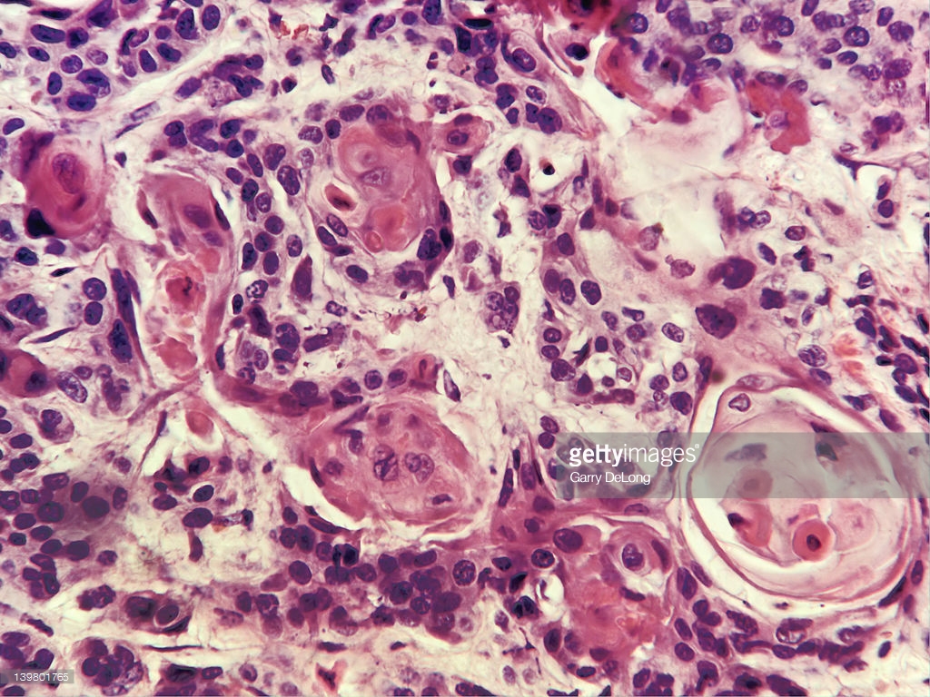 תאי חושים by efrat rapaport - Illustrated by אפרת רפפורט - Ourboox.com