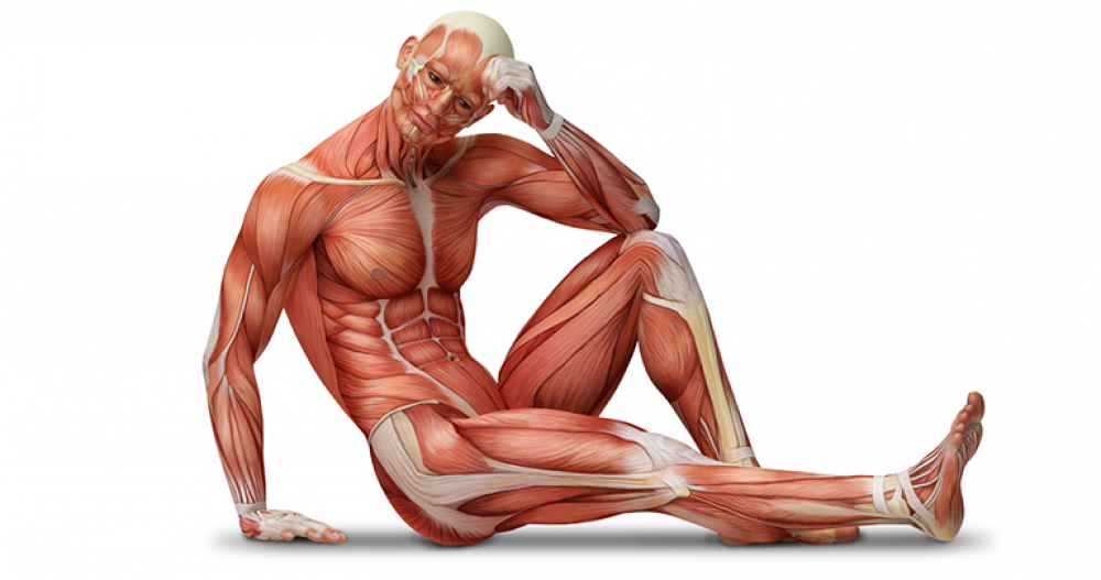 התאים שאהבתי by shani - Illustrated by שני בן סימון - Ourboox.com