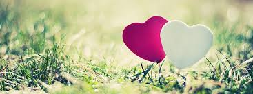 الحب الصادق by tasneem sh najdi - Ourboox.com