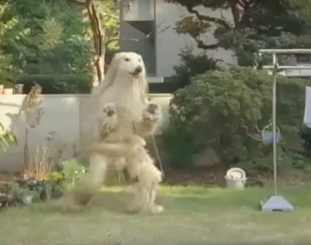 kunzome panchi by nevo reich - Illustrated by panchi - Ourboox.com