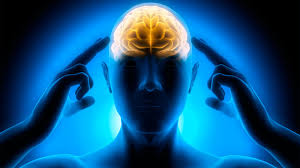 I processi cognitivi by FRANCESCO RUSSO - Ourboox.com