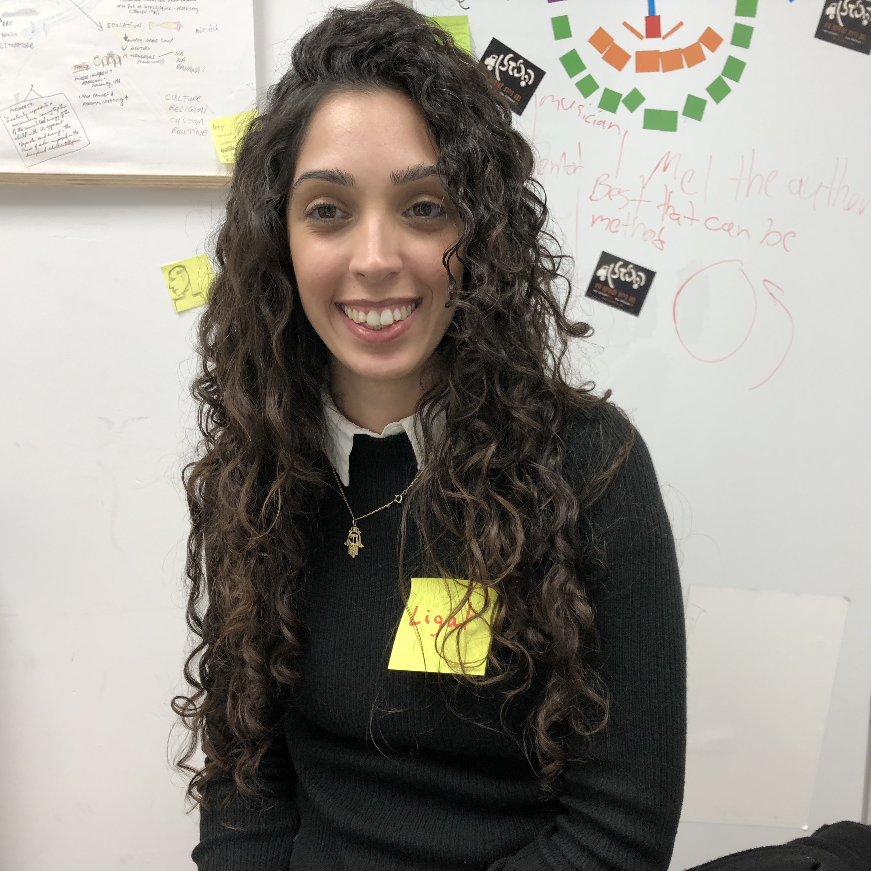 The Second Internship Program at Shenkar College by Mel Rosenberg - מל רוזנברג - Ourboox.com