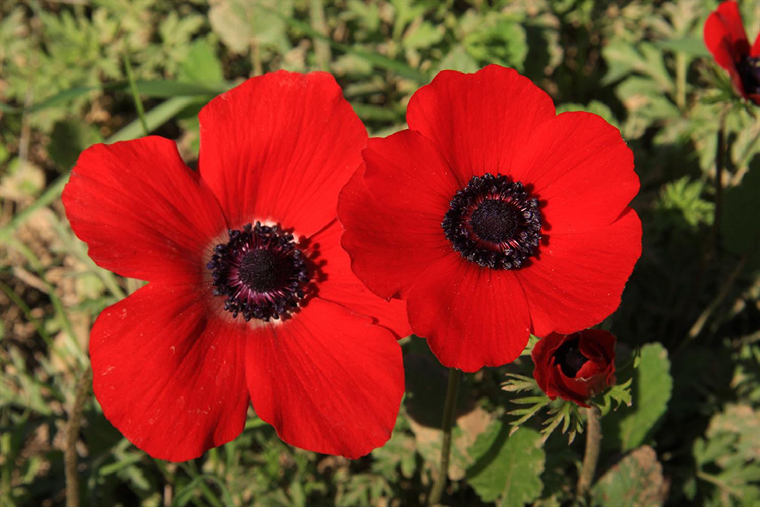 הטיול שלנו by sara amar - Ourboox.com