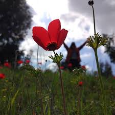 הטיול שלנו by ORALIN - Ourboox.com