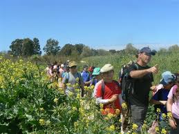 הטיול שלנו by DANDI - Illustrated by דנדי - Ourboox.com
