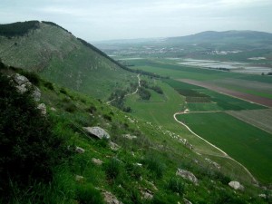 הספר של ג’1 by sifriya - Illustrated by תלמידי ג 1 מספרים עריכת הספר עילאי - Ourboox.com