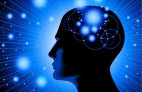 I PROCESSI COGNITIVI: MEMORIA, LINGUAGGIO E INTELLIGENZA by RAFIQ MOHAMMAD ROMEES - Ourboox.com