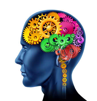 I PROCESSI COGNITIVI: MEMORIA, LINGUAGGIO E INTELLIGENZA by RAFIQ MOHAMMAD ROMEES - Ourboox.com