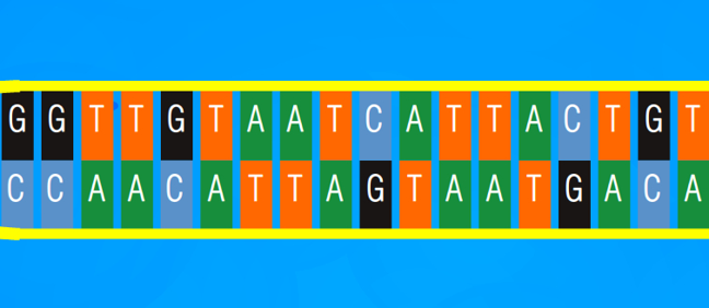 מדנ”א לחלבון by janet amsis - Ourboox.com