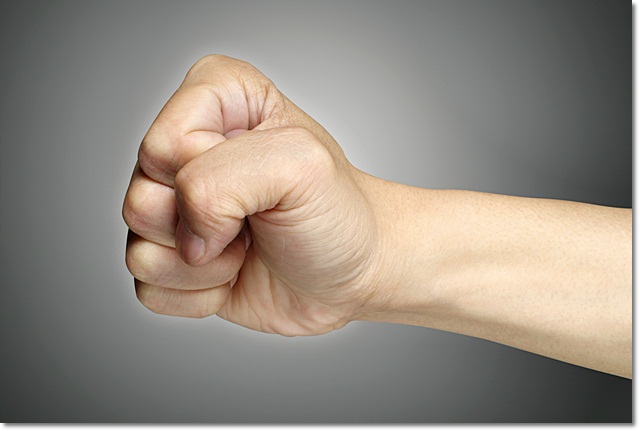 מבנה הלב ותפקידו by ateret - Illustrated by עטרת - Ourboox.com