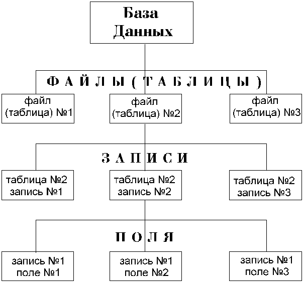 БАЗА ДАННЫХ by Arina - Ourboox.com