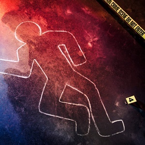 The Murder And The Best Friend by yaniv zahuri - Ourboox.com