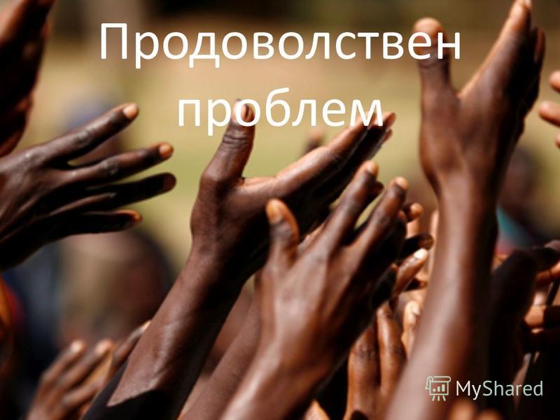 Продоволствен проблем by Polina - Ourboox.com