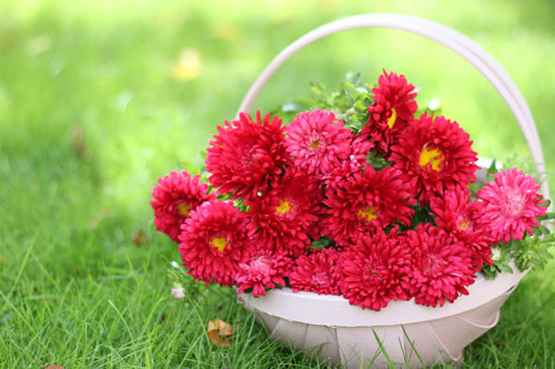 Моя сім”я by Ivanna - Illustrated by Вчитель - Ourboox.com