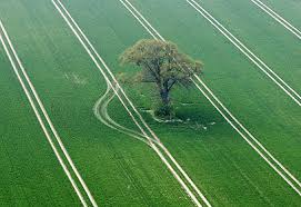 מושית השבע by ella - Illustrated by אליה שי - Ourboox.com