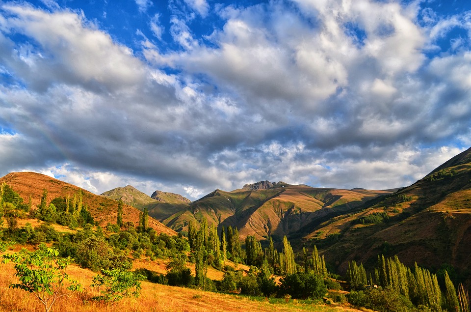 הצרצר והנמלה by dana - Ourboox.com