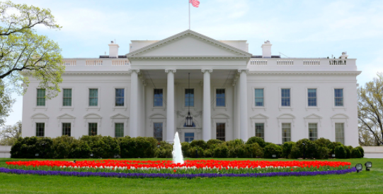 The Executive Branch by Alannah Long - Illustrated by Google Images  - Ourboox.com