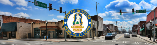 The Executive Branch by Alannah Long - Illustrated by Google Images  - Ourboox.com