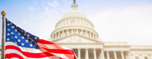 The Executive Branch by Alannah Long - Illustrated by Google Images  - Ourboox.com