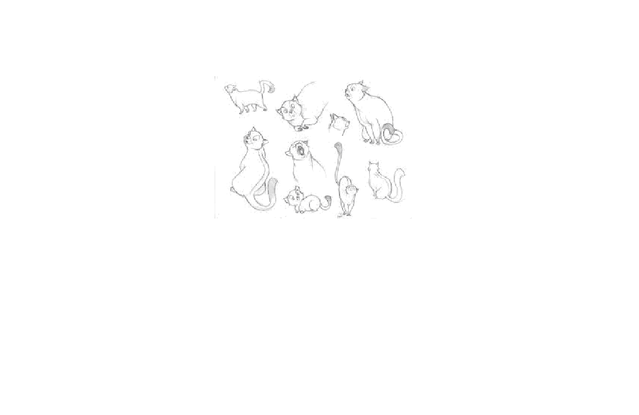 החתול שלא הפסיק לישון by Tamar Cohen - Ourboox.com