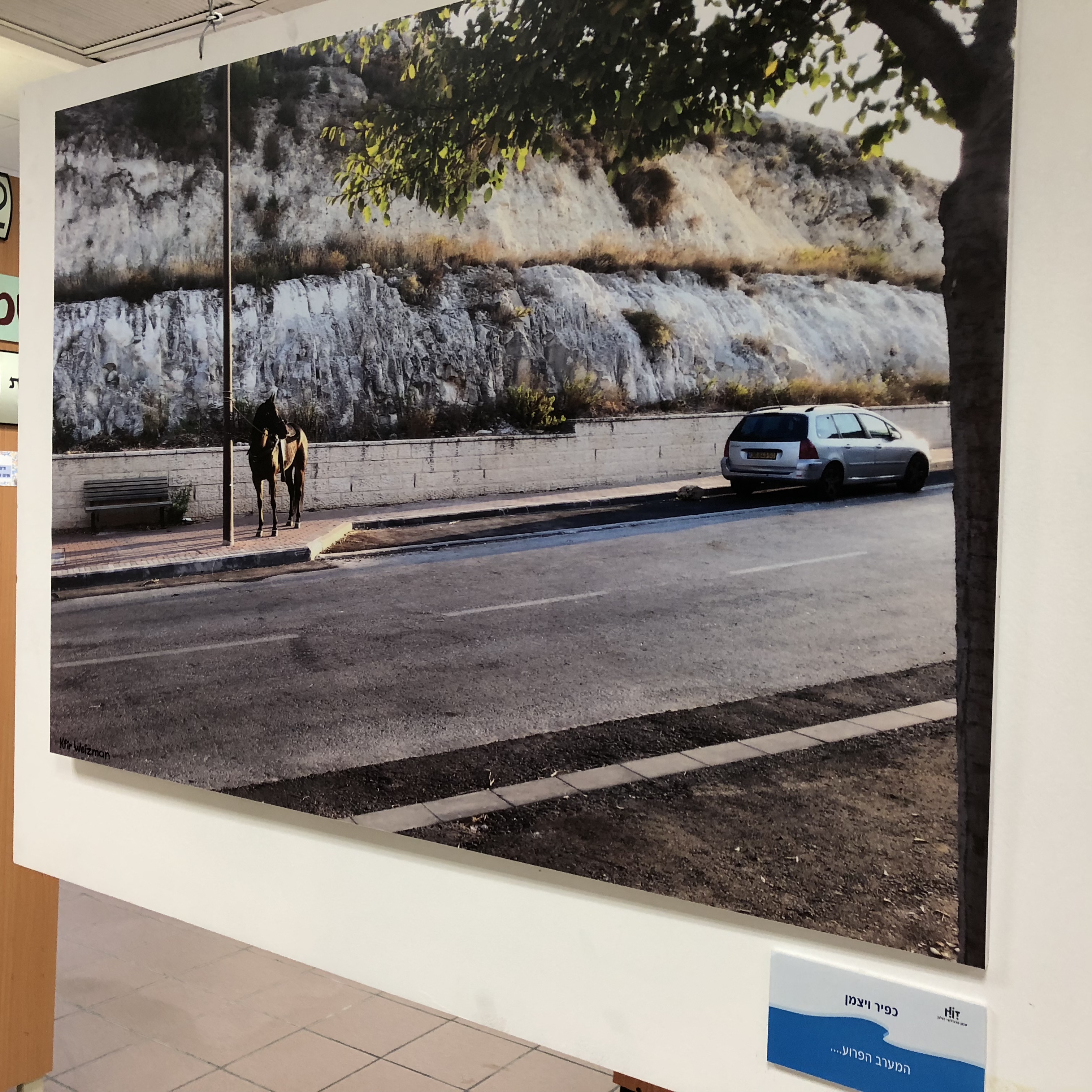 A Visit to the Library at HIT – With Michal Chill by Mel Rosenberg - מל רוזנברג - Ourboox.com