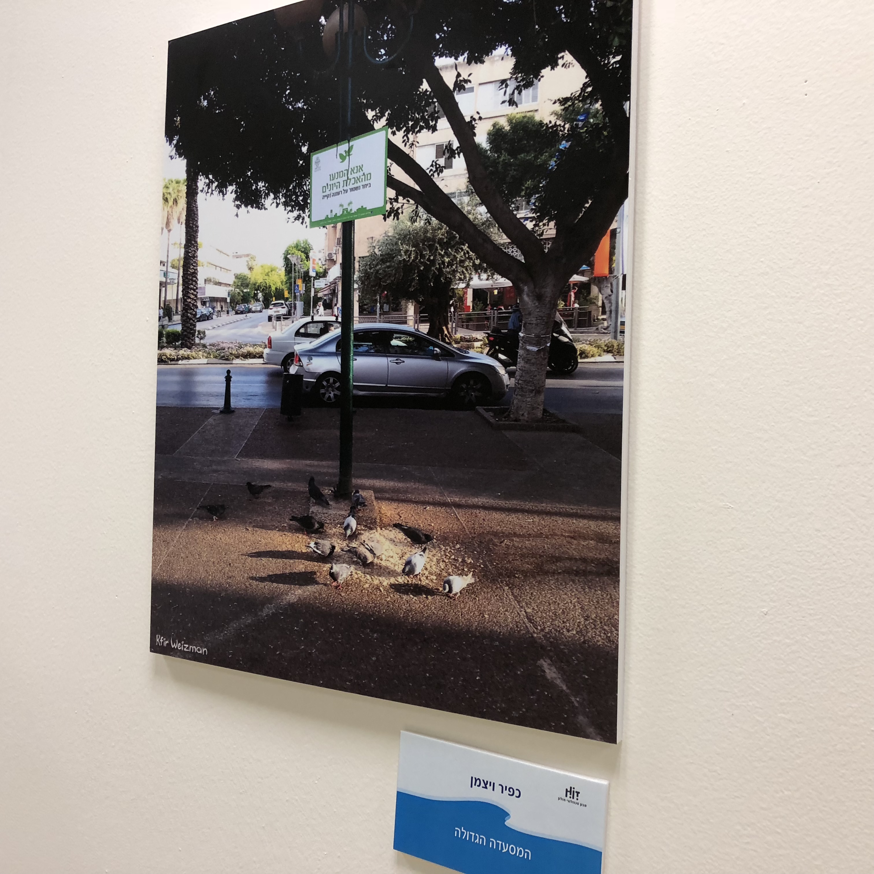 A Visit to the Library at HIT – With Michal Chill by Mel Rosenberg - מל רוזנברג - Ourboox.com