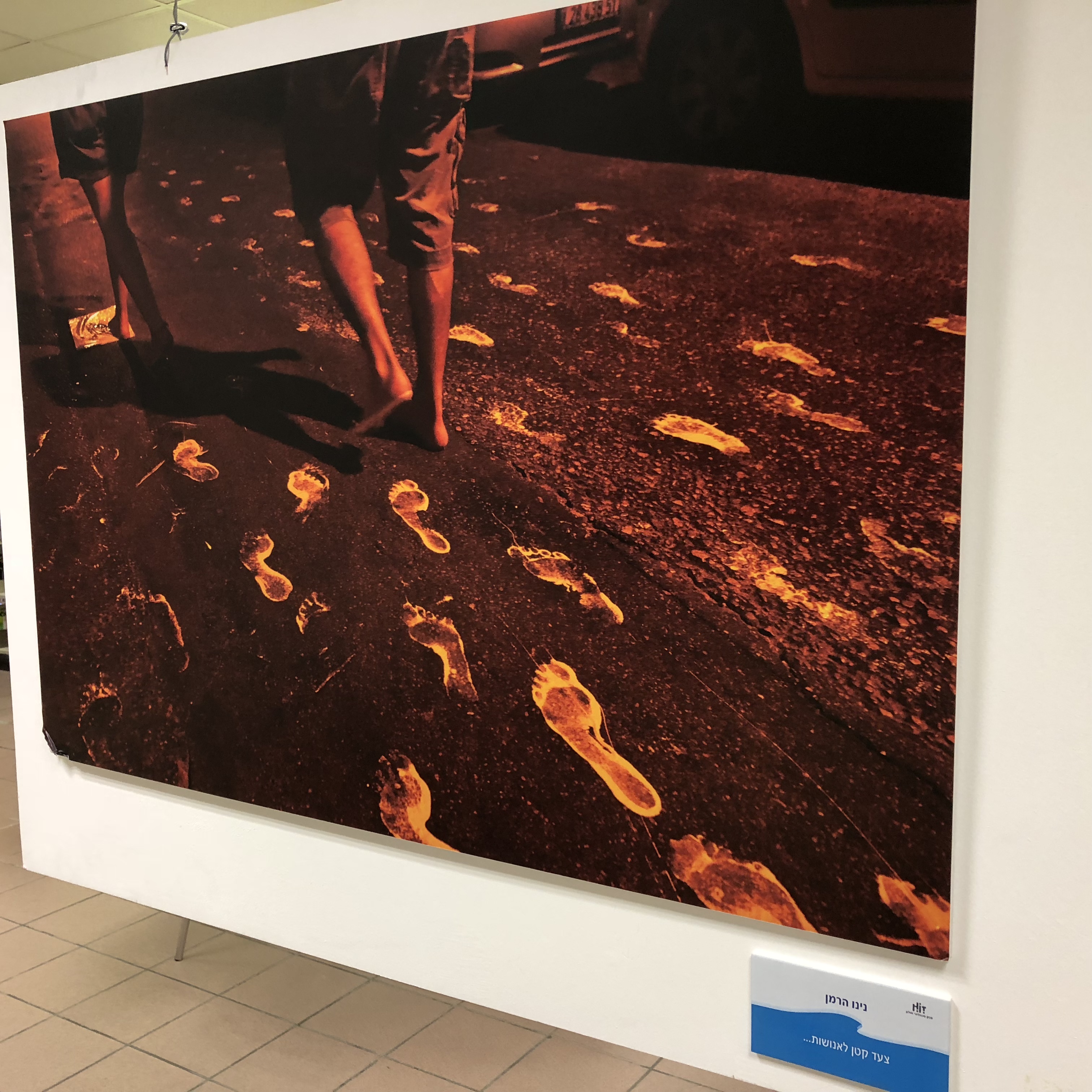 A Visit to the Library at HIT – With Michal Chill by Mel Rosenberg - מל רוזנברג - Ourboox.com