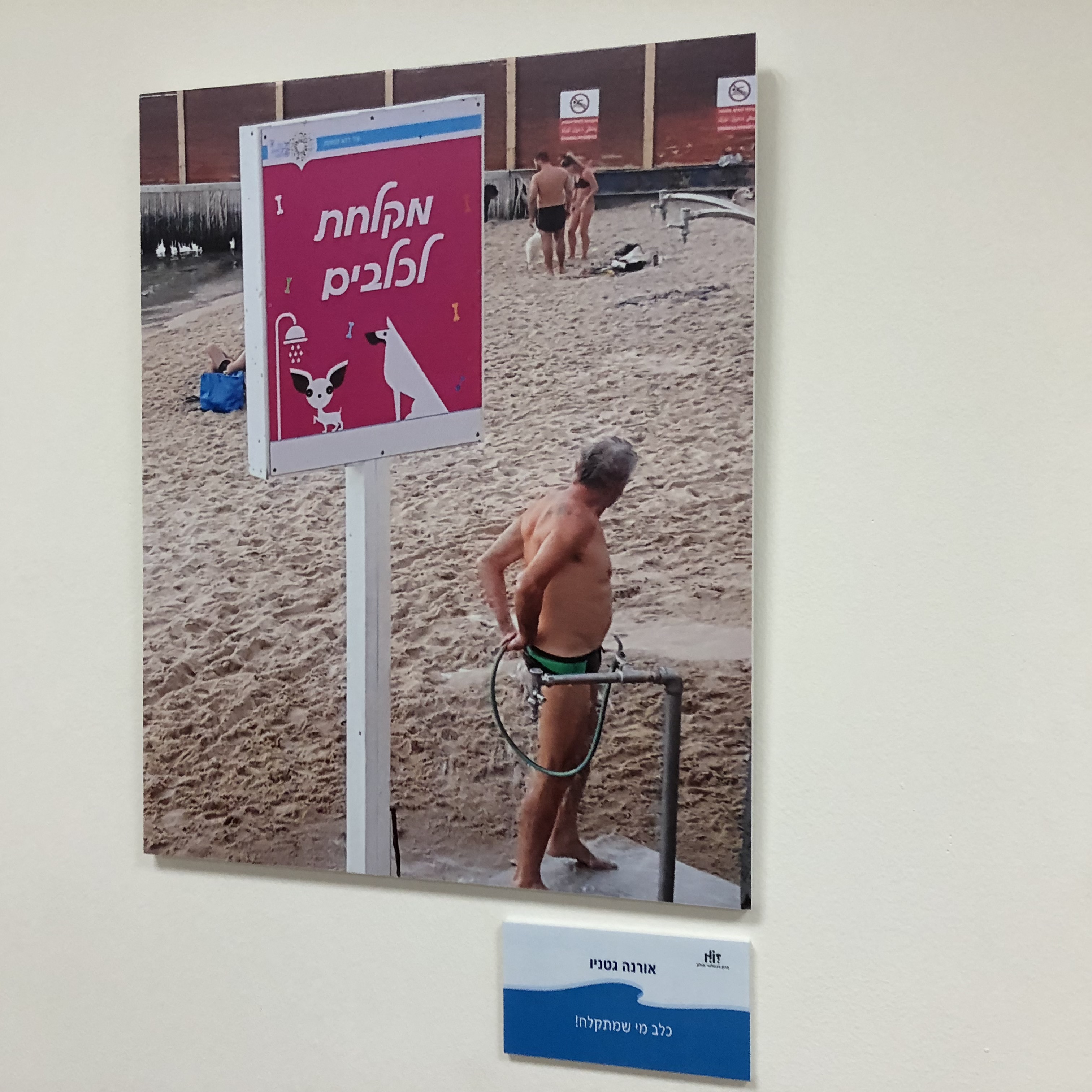 A Visit to the Library at HIT – With Michal Chill by Mel Rosenberg - מל רוזנברג - Ourboox.com