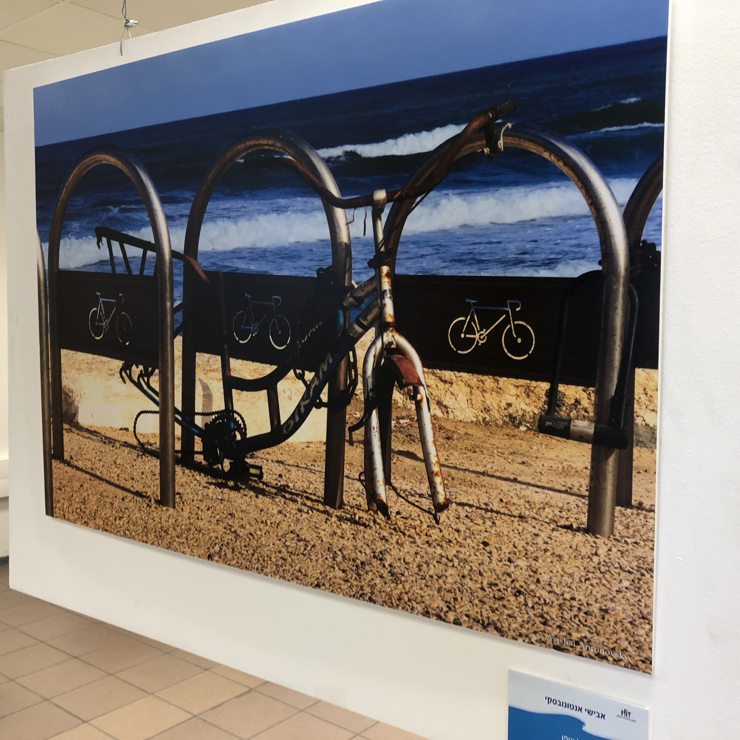 A Visit to the Library at HIT – With Michal Chill by Mel Rosenberg - מל רוזנברג - Ourboox.com