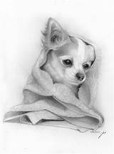 Bonny Dog’s Nap by Dorin Naim - Ourboox.com