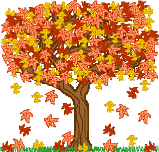 My favorite season by Tehila C - Ourboox.com