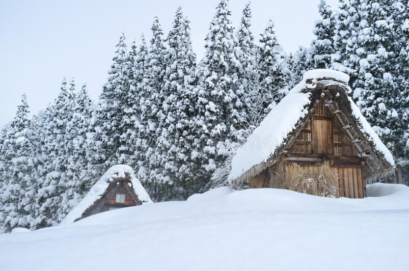 My favorite season by Tehila C - Ourboox.com