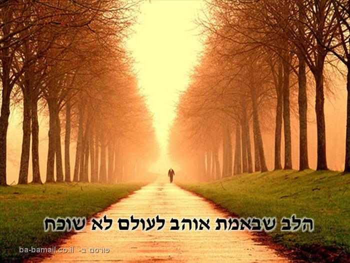 מילים קטנות לאנשים גדולים by Esmaeel Hawa - Illustrated by Esmaeel Hawa - Ourboox.com