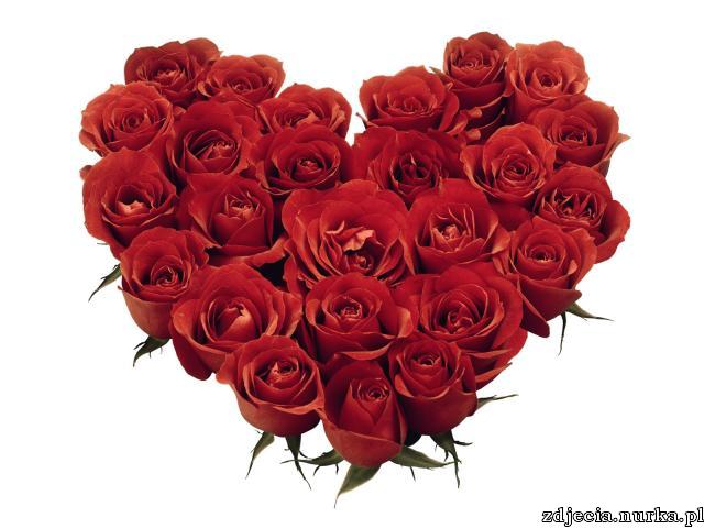 מילים קטנות לאנשים גדולים by Esmaeel Hawa - Illustrated by Esmaeel Hawa - Ourboox.com