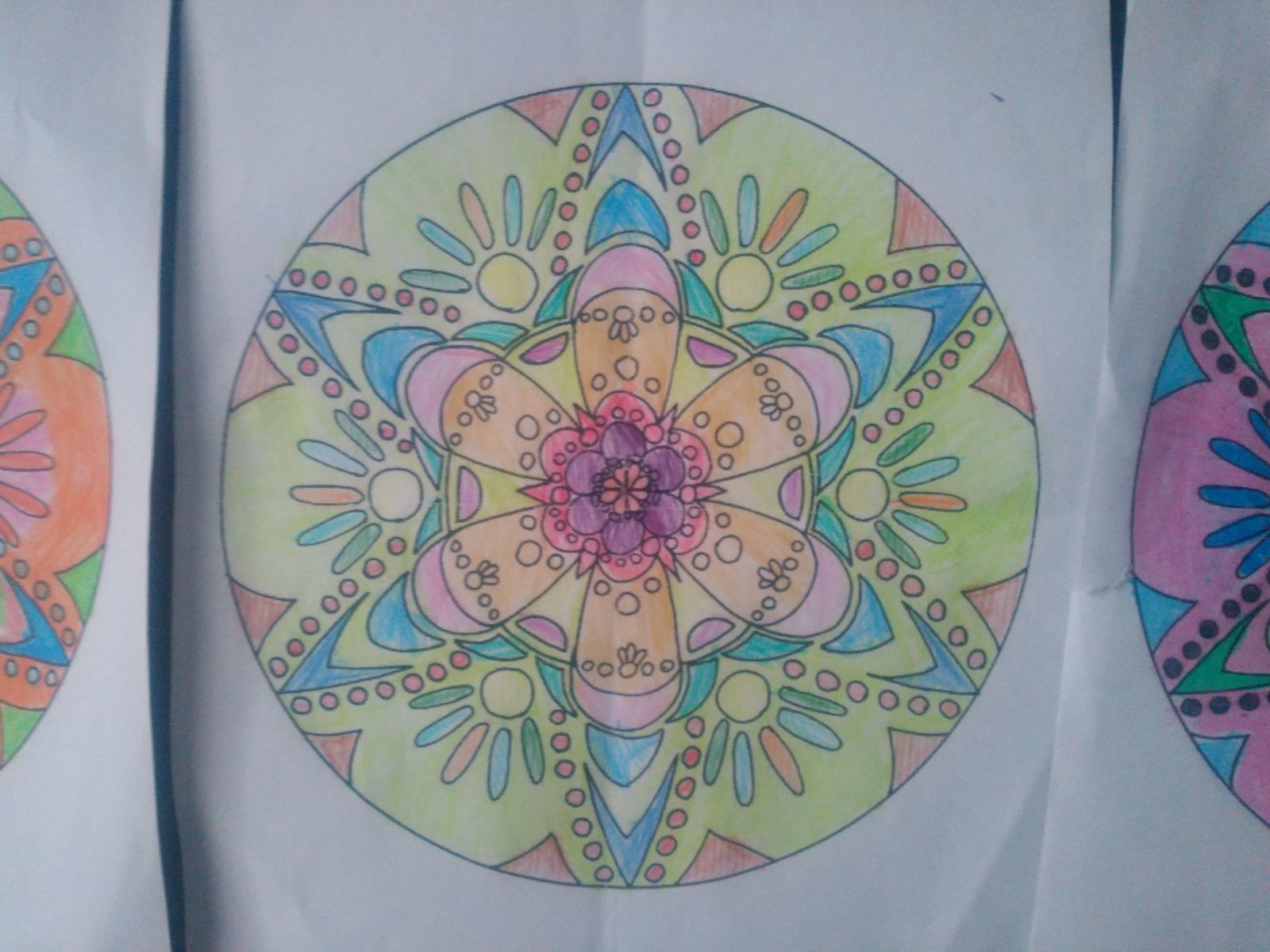 Benim Mandalam Benim Panom by RECEP BİRCAN - Ourboox.com