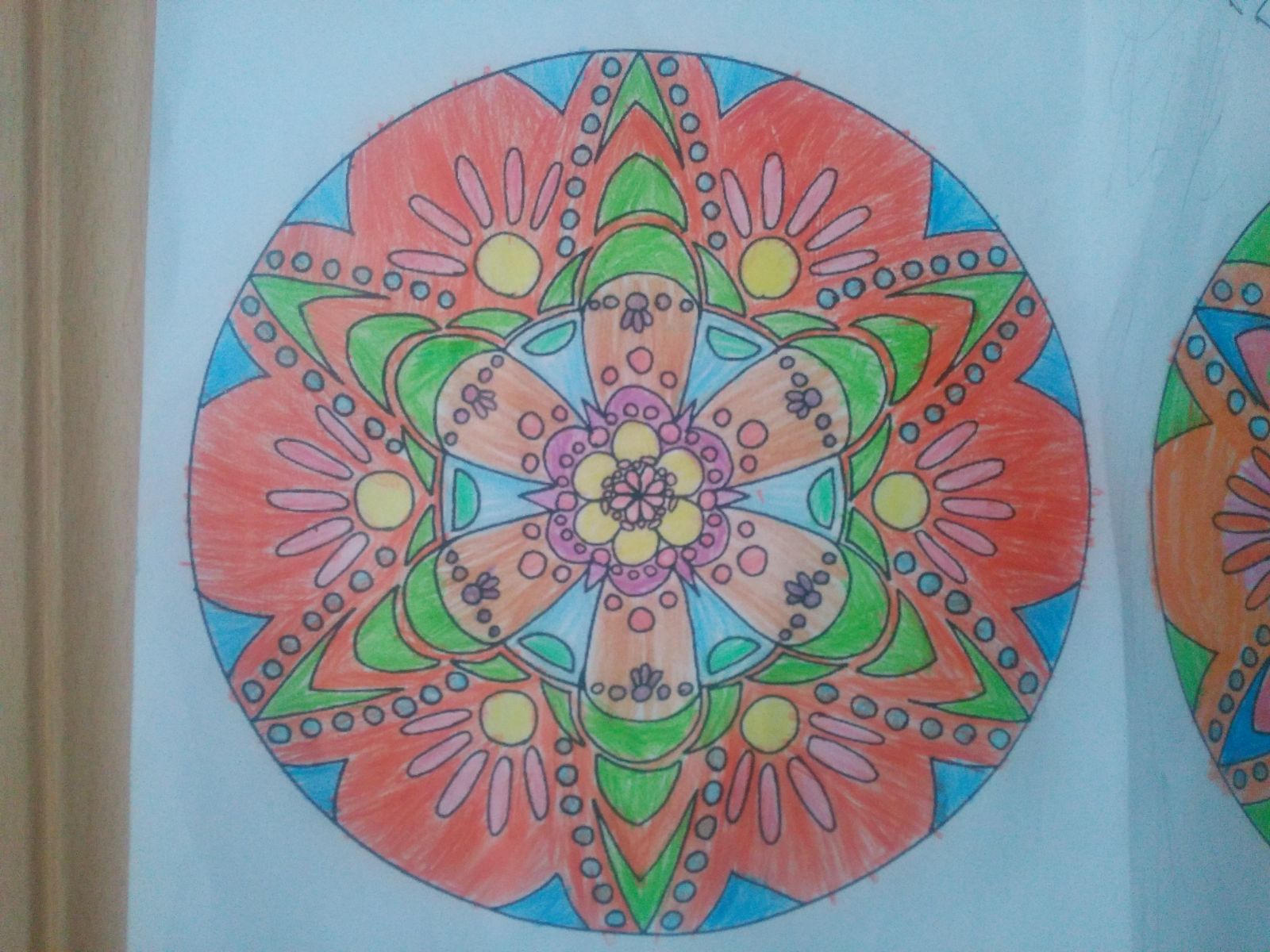 Benim Mandalam Benim Panom by RECEP BİRCAN - Ourboox.com