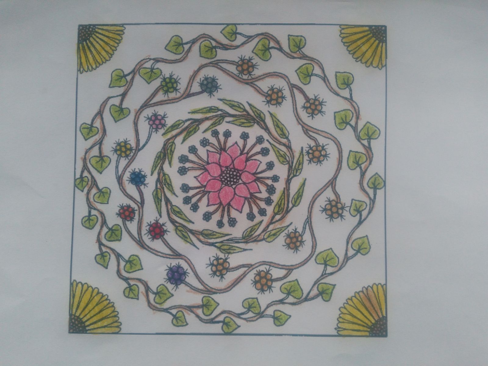 Benim Mandalam Benim Panom by RECEP BİRCAN - Ourboox.com