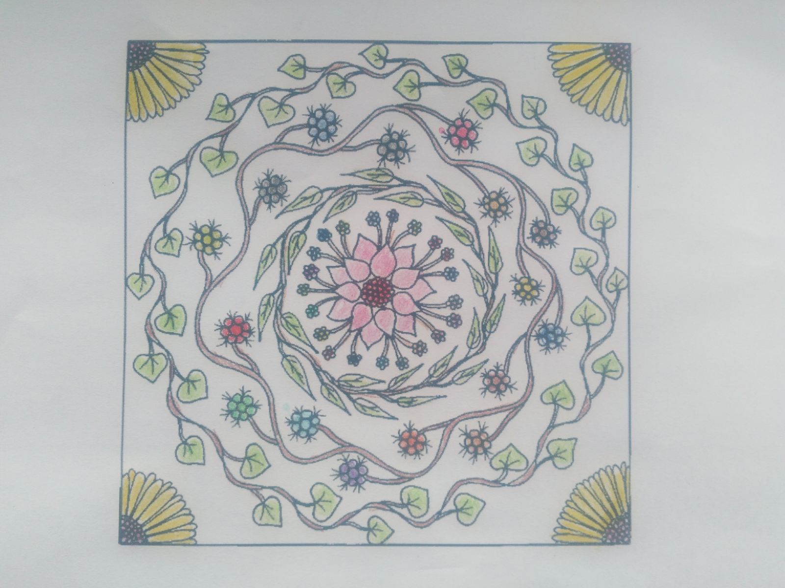 Benim Mandalam Benim Panom by RECEP BİRCAN - Ourboox.com