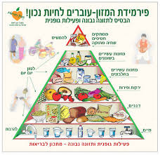 למידה דרך פרויקטים by alaa - Ourboox.com