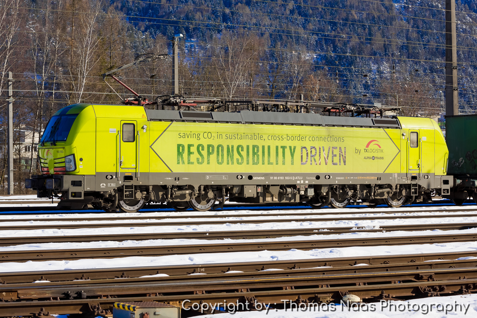 Daphna’s Counselors by Orit Freidenreich - Ourboox.com