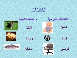 مصادر المواد by نور غزاوي - Illustrated by نور غزاوي - Ourboox.com