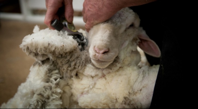 مصادر المواد by نور غزاوي - Illustrated by نور غزاوي - Ourboox.com