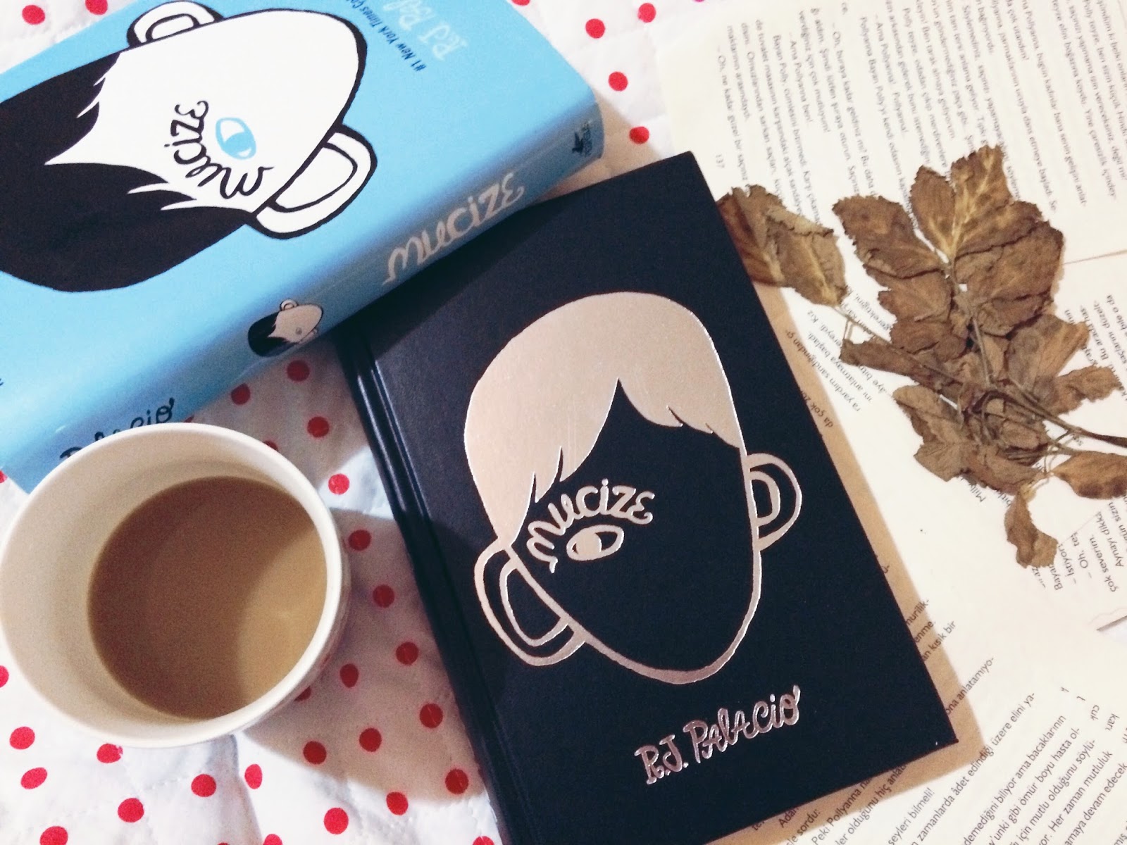 MUCIZE by Fatma ceren maraç - Ourboox.com