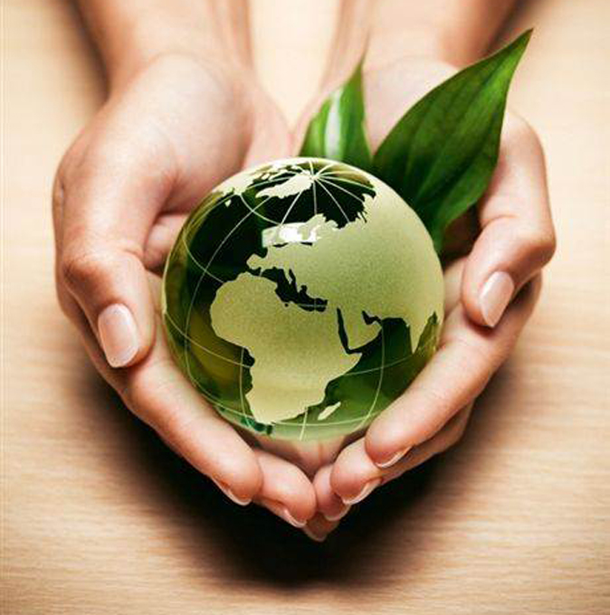 מצע מפלגת פרפר נחמד by Lihee - Ourboox.com