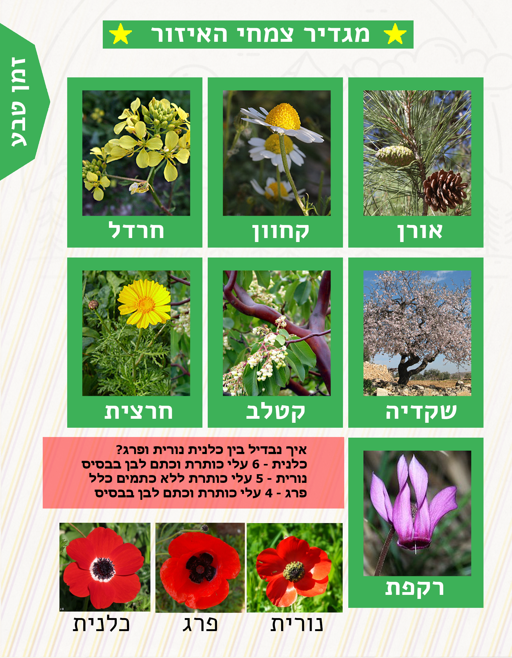 חוברת הדרכה למדריך- טיולי פסח 2018 שבט אדר by shevet adar - Ourboox.com