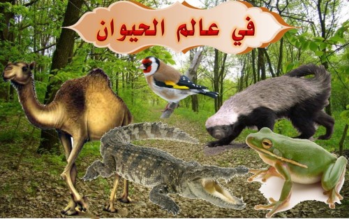 في عالم الحيوان by esraa skafi - Illustrated by Esraa skafi - Ourboox.com